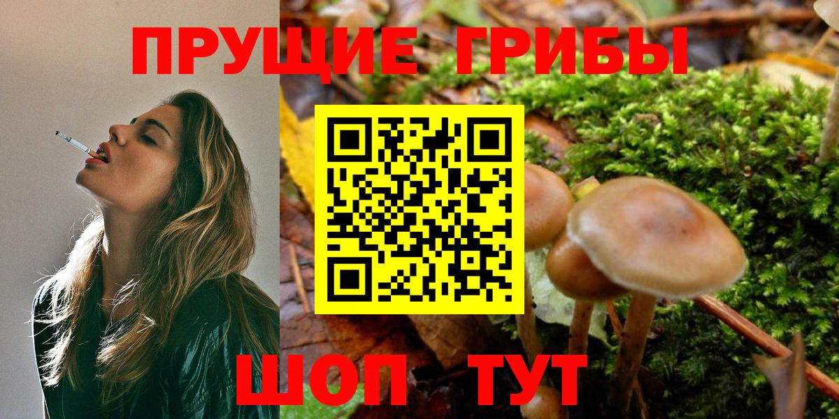 Псилоцибиновые грибы ЛСД  Псилоцибиновые грибы Cubensis  Вход с VPN  Саяногорск 