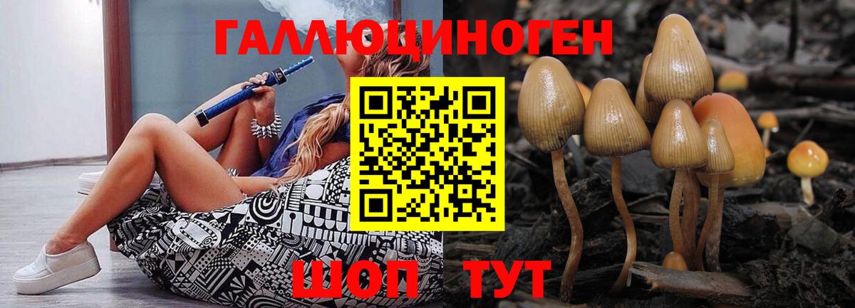 Псилоцибиновые грибы MAGIC MUSHROOMS Саяногорск